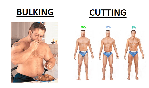 Perbedaan Bulking dan Cutting