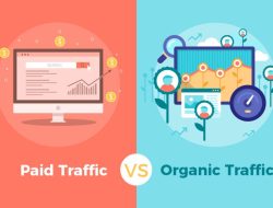 Paid Traffic vs. Traffic Organic: Mana yang Terbaik?