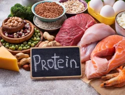 Makanan Tinggi Protein untuk Menunjang Kebutuhan Gizi Anda
