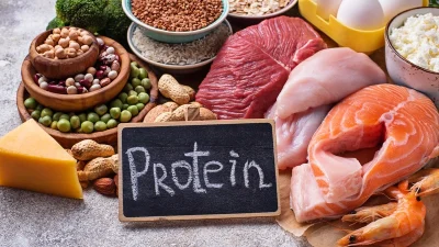 Makanan Tinggi Protein