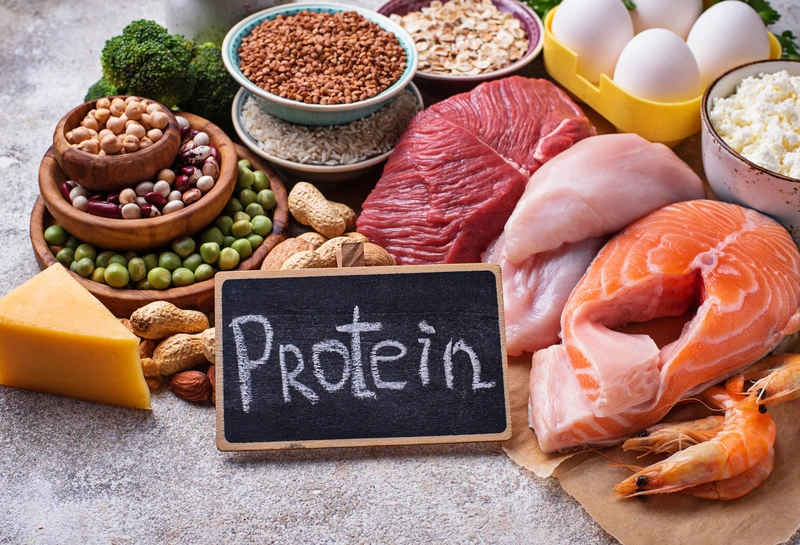 Makanan Tinggi Protein