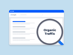 Cara Ampuh Mendapatkan Traffic Organic Web